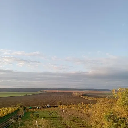 Vinarsky *