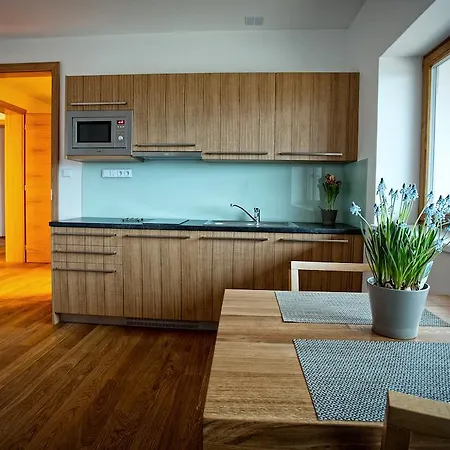 Vinarsky Apartament *