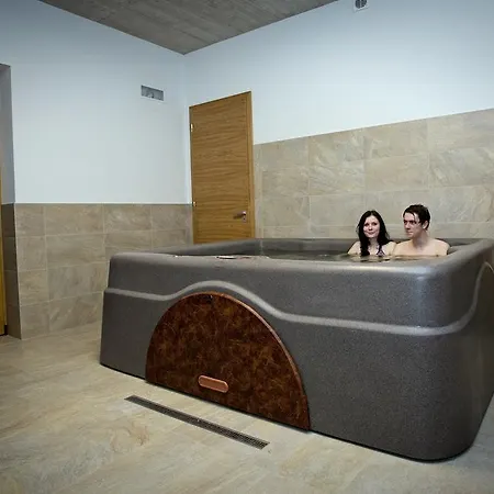Apartment Vinarsky Strachotice