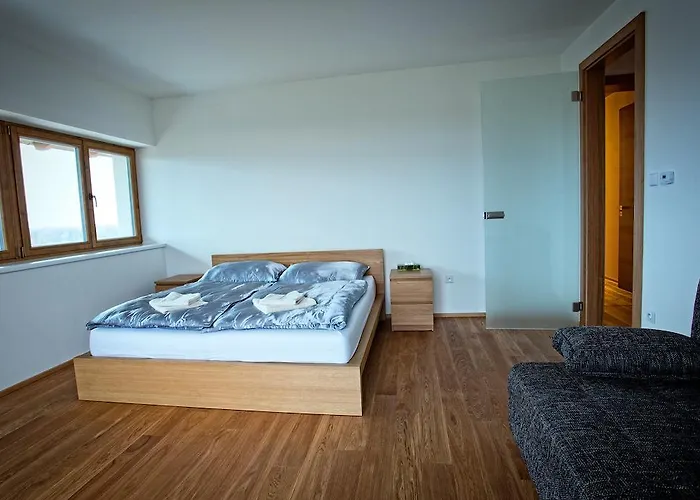Appartement Vinarsky *